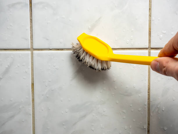 Best Mold Remediation for Specific Building Types in Heath, TX