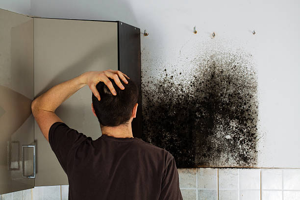 Reliable Heath, TX Mold Remediation Solutions